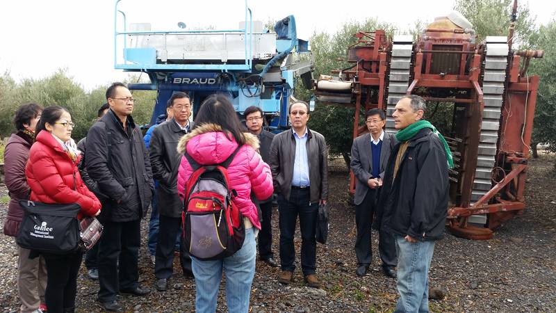 Water Saving Irrigation and Effective Planting Technologies Programme for Ningxia